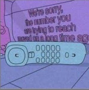 Meet your Posher, Anaya